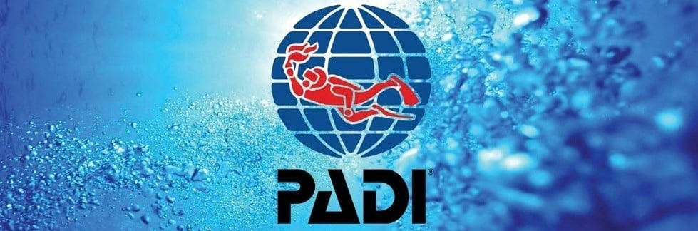 NEW PADI Banner 1